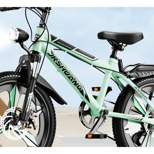 Mint Green Utility Mountain Bike