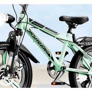 Mint Green Utility Mountain Bike