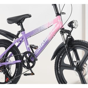 Purple Youth Mountain Bike