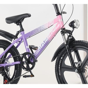 Purple Youth Mountain Bike