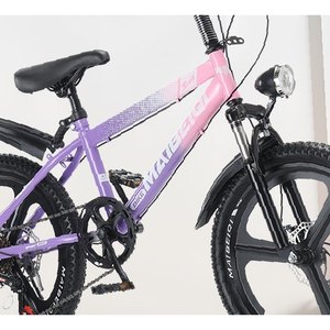 Purple Youth Mountain Bike