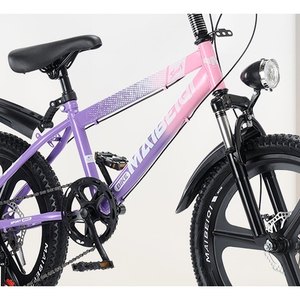 Purple Youth Mountain Bike
