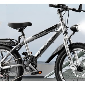Silver Utility City Bike