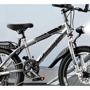 Silver Utility City Bike