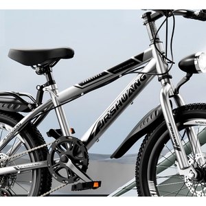 Silver Utility City Bike
