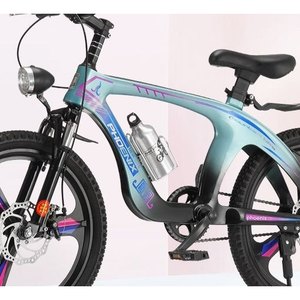 Teal Performance Electric Bike