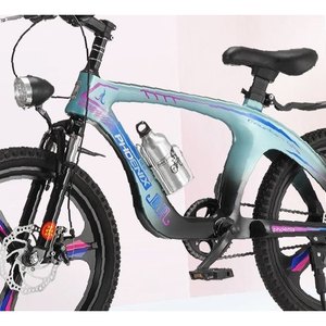 Teal Performance Electric Bike