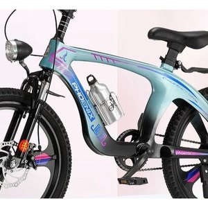 Teal Performance Electric Bike