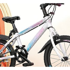 White Pink Youth Mountain Bike